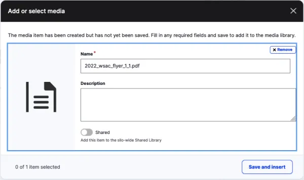 Document Insert Window